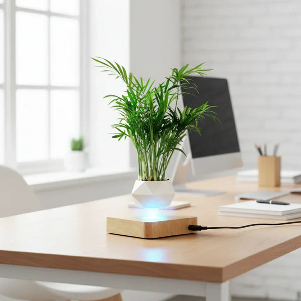 Pot de fleurs à lévitation magnétique, plante flottante décoration étonnante