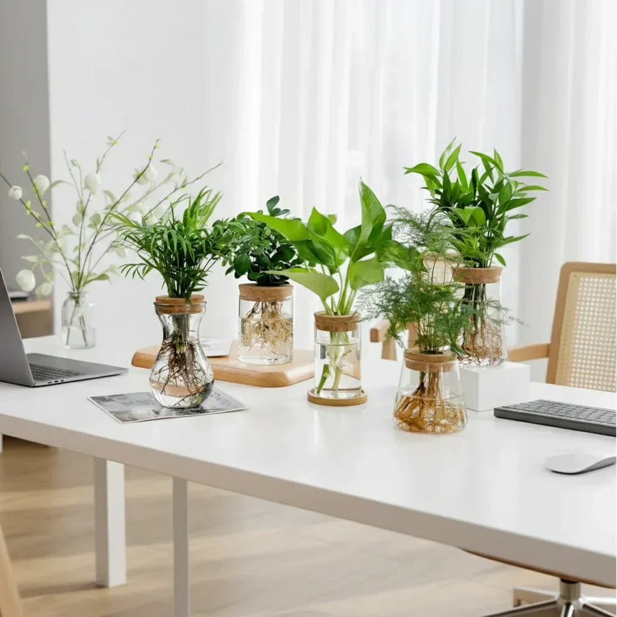 Pot hydroponique design minimaliste pour plantes sans terre, élégant intérieur