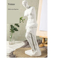Statue Vénus de Milo résine, vue de côté
